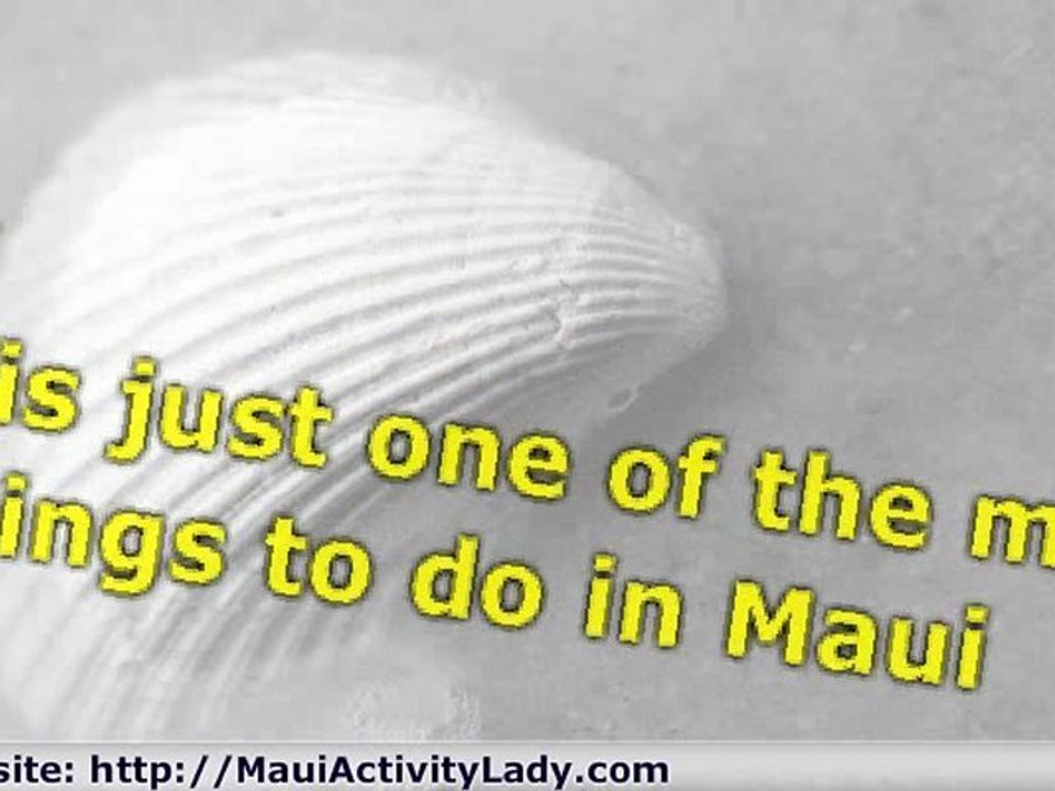 Enjoy Your Vacation With the Best Maui Activities and Tours
