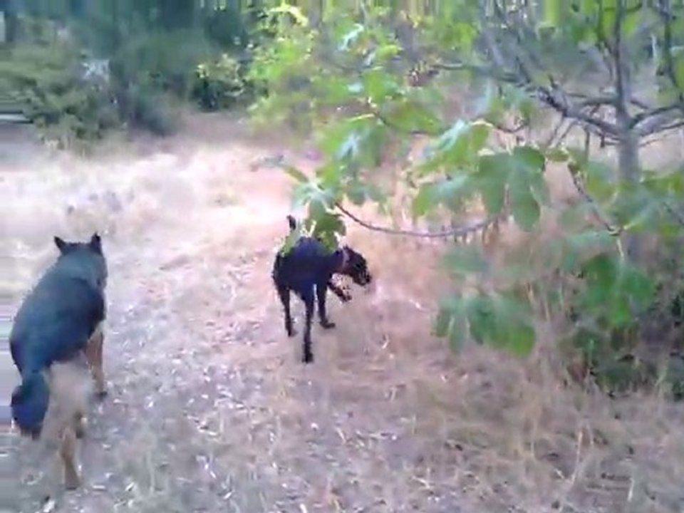 Fiona Vid-3