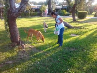 yonca evcimik doğum günü