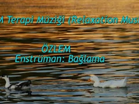 TSM İle Terapi (10) DOST Özlem (Bağlama)