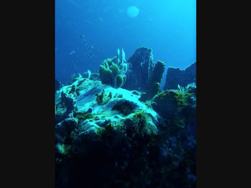 mix tof son madinina