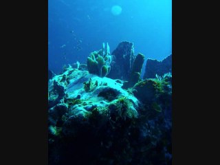 mix tof son madinina