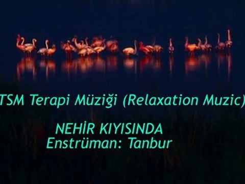 TSM İle Terapi (12) Huzur Nehir Kıyısında (Tanbur)