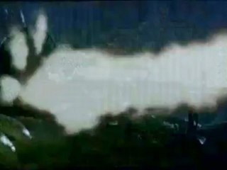 JSA Joint security area ( bande annonce VOST )