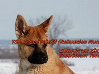TSM İle Terapi (14) Huzur Tanbur'un Zikri (Tanbur)