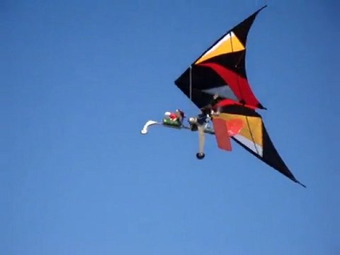 ULM pendulaire model reduit