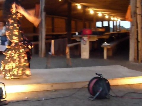 Week-end CAMARGUE danse Sévillane