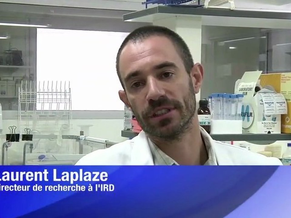 PRES'TV: PORTRAIT DE LAURENT LAPLAZE - IRD