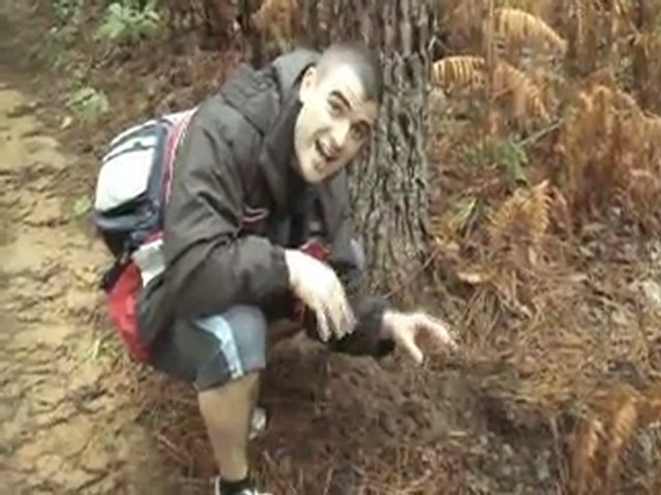 Le Ouille ouille ouille