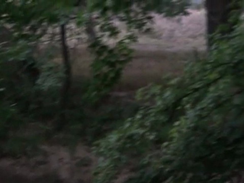 20110404090249