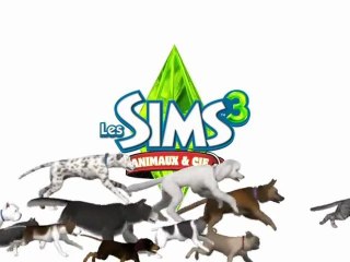 Les Sims 3 : Animaux & Cie - Webisode #1 [HD]