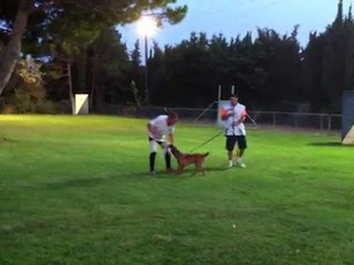 G'Crunh 3 mois Aout 2011