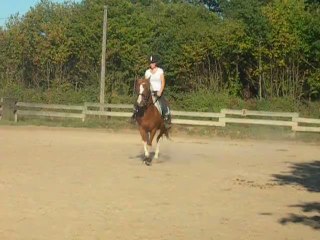 cession au trot a la jambe droite roissam