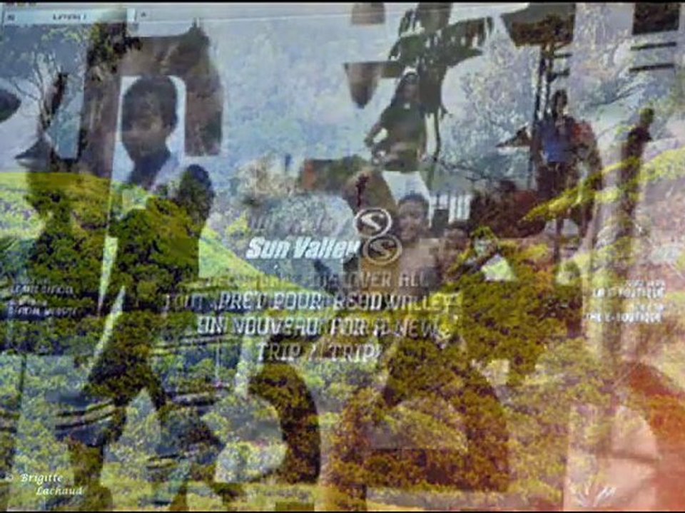 CANNES - PALMES DE LA COMMUNICATION 2011