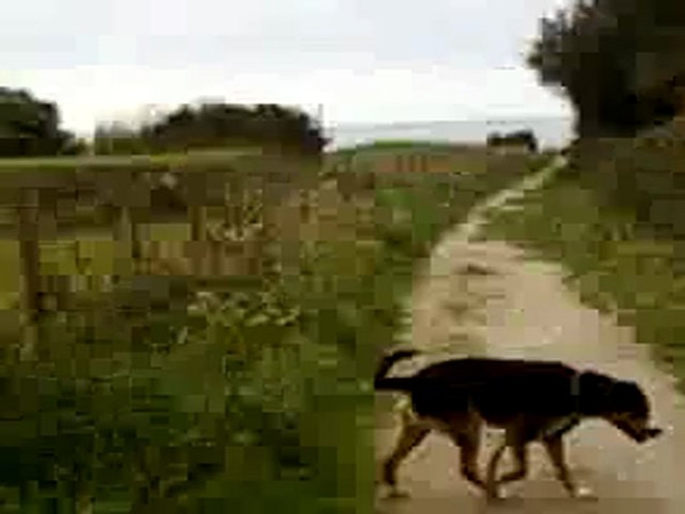 en arrivant a Nantois