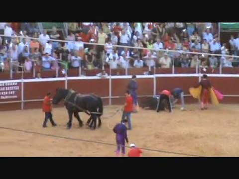Shocking Bullfight & Horse Cruelty In Spain