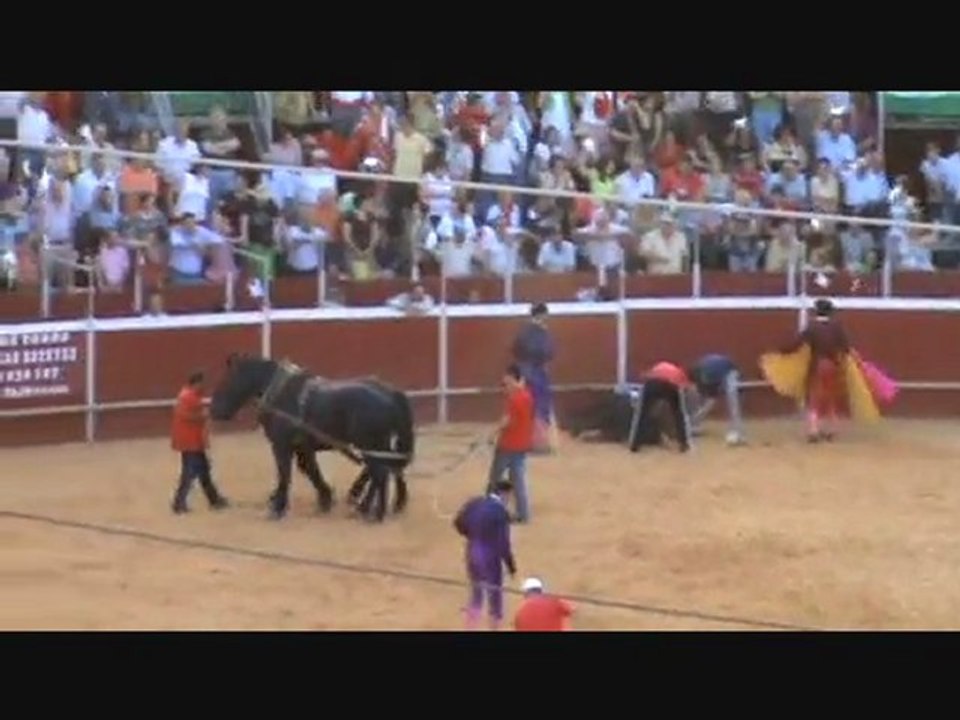 Shocking Bullfight & Horse Cruelty In Spain