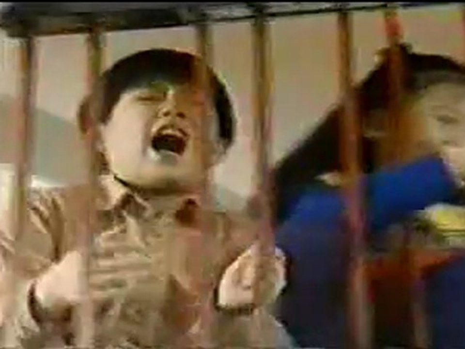 Hoa tan hoa no 29
