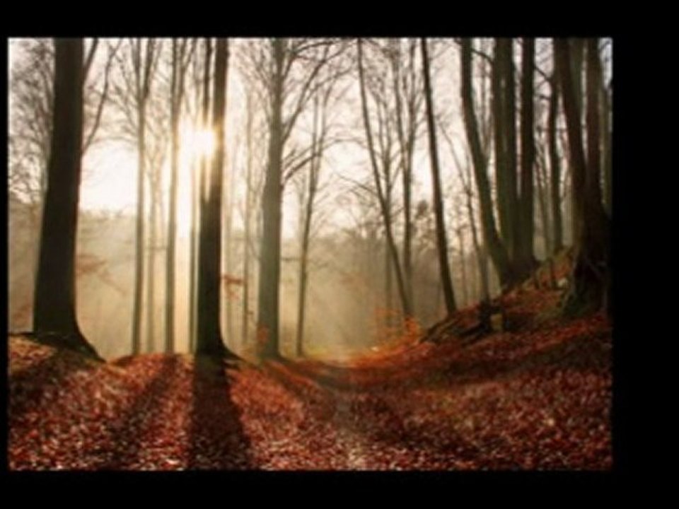 AĞLA  GÖZÜM  AĞLA  ...