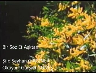 BİR SÖZ ET AŞKTAN  gerisi hikaye(((