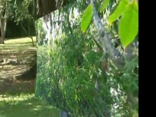 AHORA HE VUELTO A SER FELIZ LUPE AGUILAR Y YOANY GIRALDO 3113227974