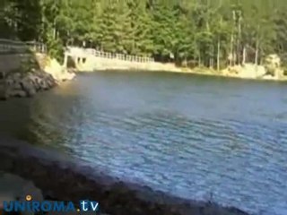 Designing Protected Areas