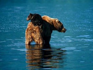 Gün Ağarırken - Efkan Şeşen (Mustafa Dinç)