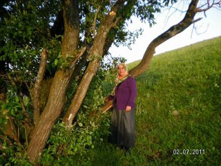 HOZAN KAVA Maralime kürtçe klip  @ MEHMET ALİ ARSLAN Videos