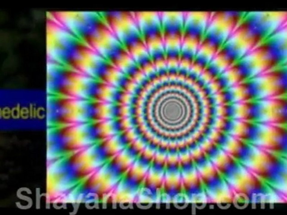 cannabis shop