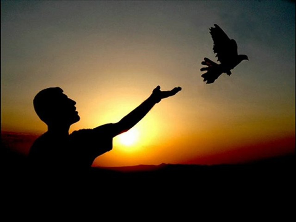 BEN SENİN EN ÇOK YÜREĞİNİ SEVDİM