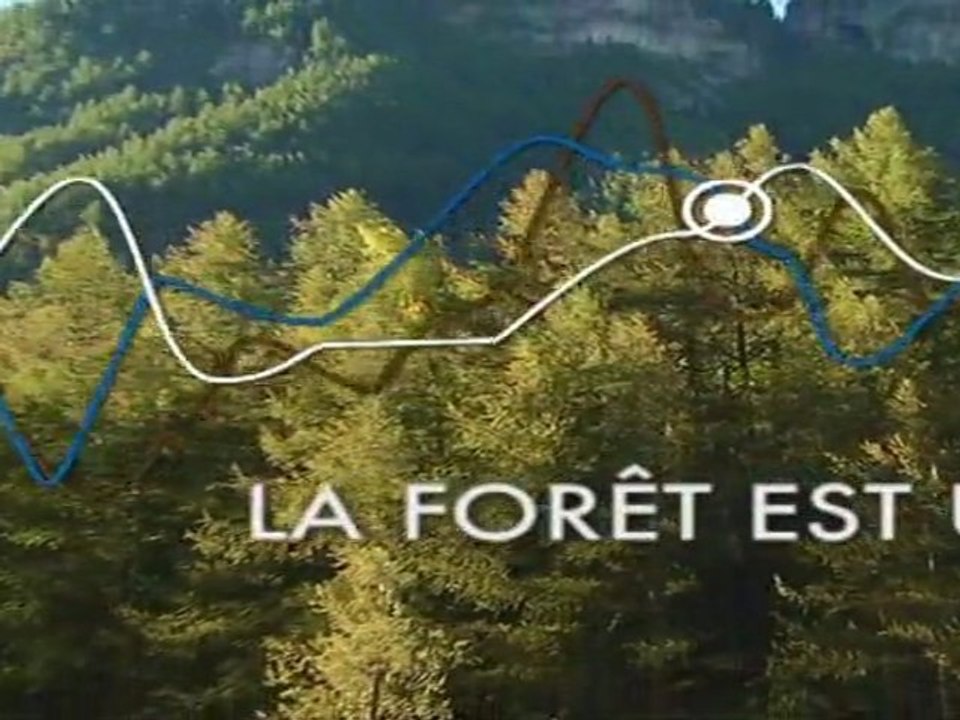 Le bois énergie, un enjeu économique local majeur