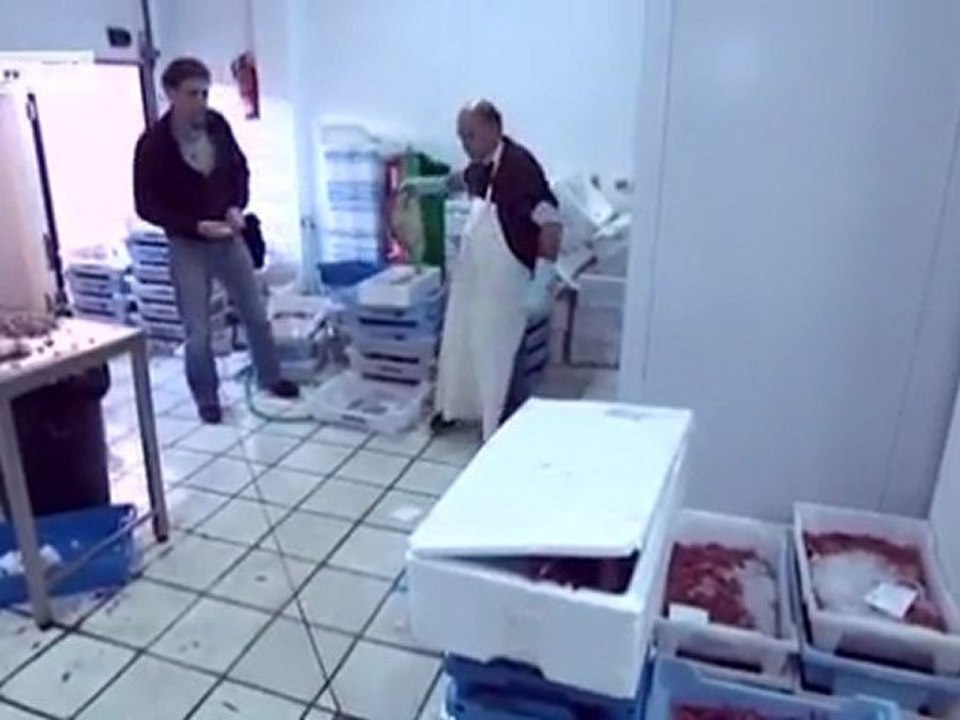 John Dory Fish with Fresh Homemade Pasta and Spicy Olives | euromaxx