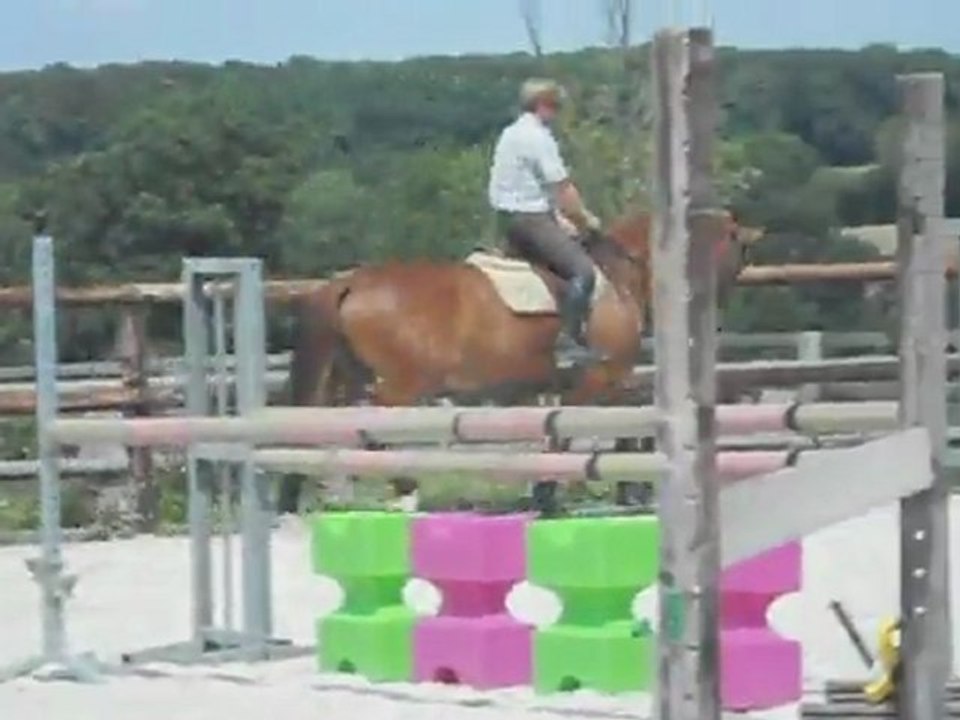 cheval dressage