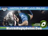 watch Live Rugby World Cup South Africa vs Namibia live streaming
