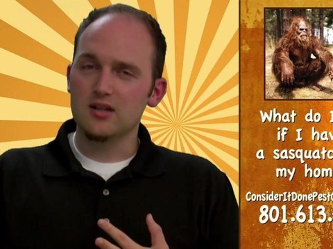 Pest Control Layton - How to take care of a bigfoot problem