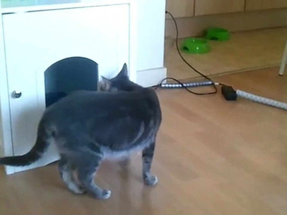 L'empathie de Sae et Yui pour la petite Isis enfermée dans le hall d'entrée