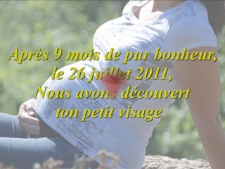 évolution grossesse