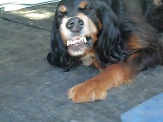 LES SOURIRES DE DUNE 09 2011