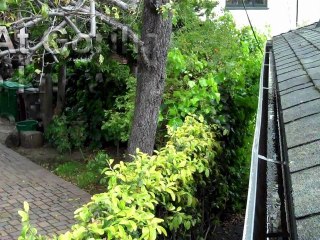Oakland CA - Oakland Gutter Cleaning