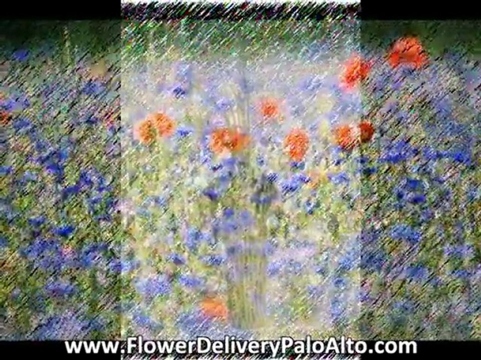 Flower Deliveires - Campbell, CA