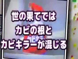 【カビキラー】強力浸蝶【アゲハ蝶】