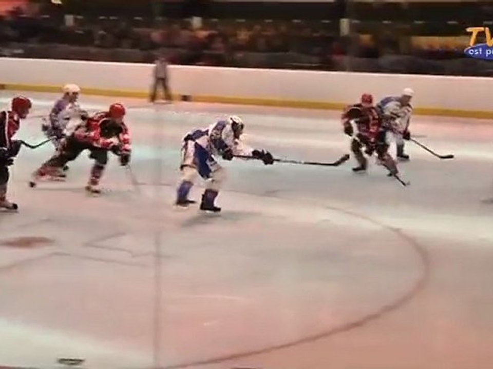 Bisons contre Rapaces !