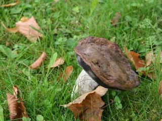 Letonya-Riga- Bölüm2