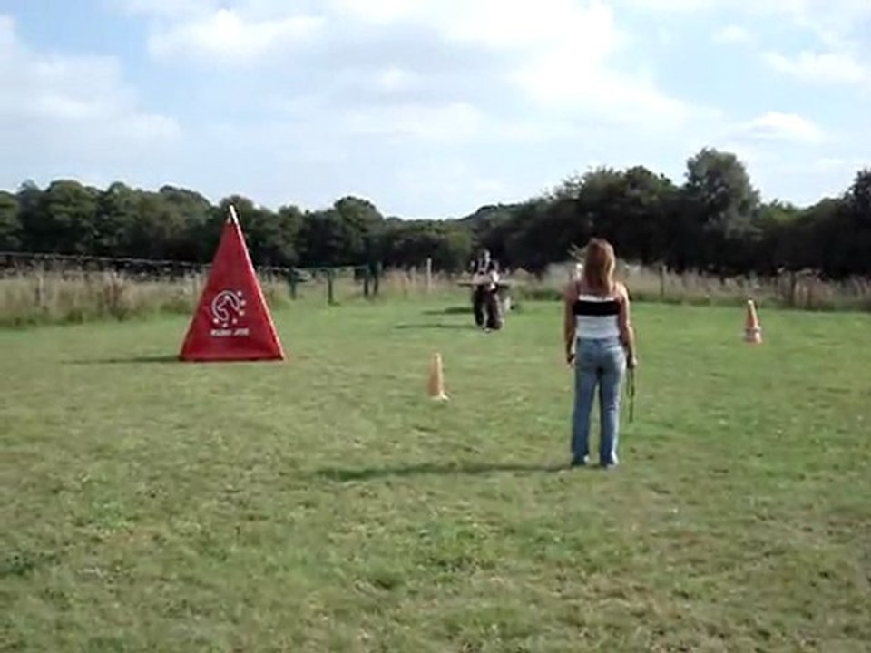 edy du domaine du val d'aulnoy