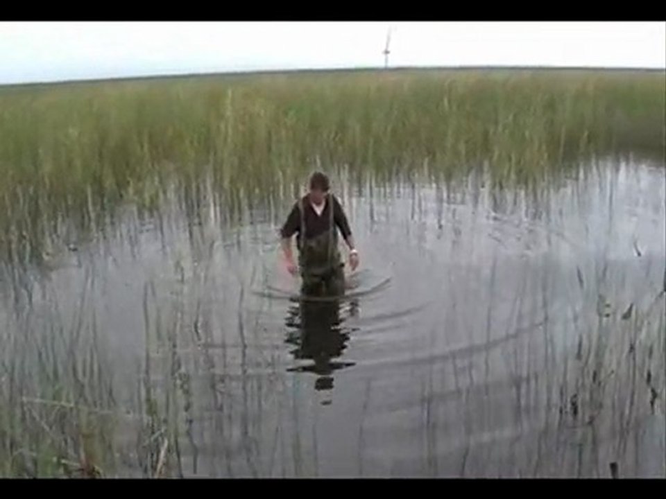 PREMIER PAS DE L'ARDECHOIS DANS LE  MARAIS DU LAC ST PIERRE  !!!!!