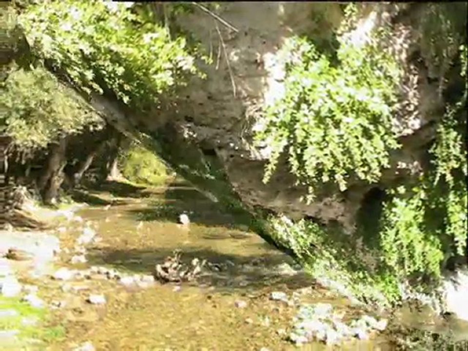 ALİ AKSOY   '' NAZLI NAZLI''