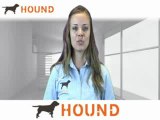 Pharmaceutical Compliance Jobs, Pharmaceutical Compliance Careers, Employment | Hound.com