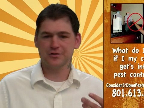 Pest Control Layton - What if my child gets into pesticides?