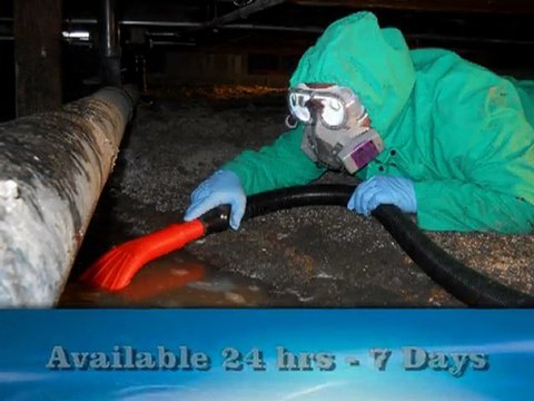 Water Damage Long Beach CA, Call ESR (800) 540-5543