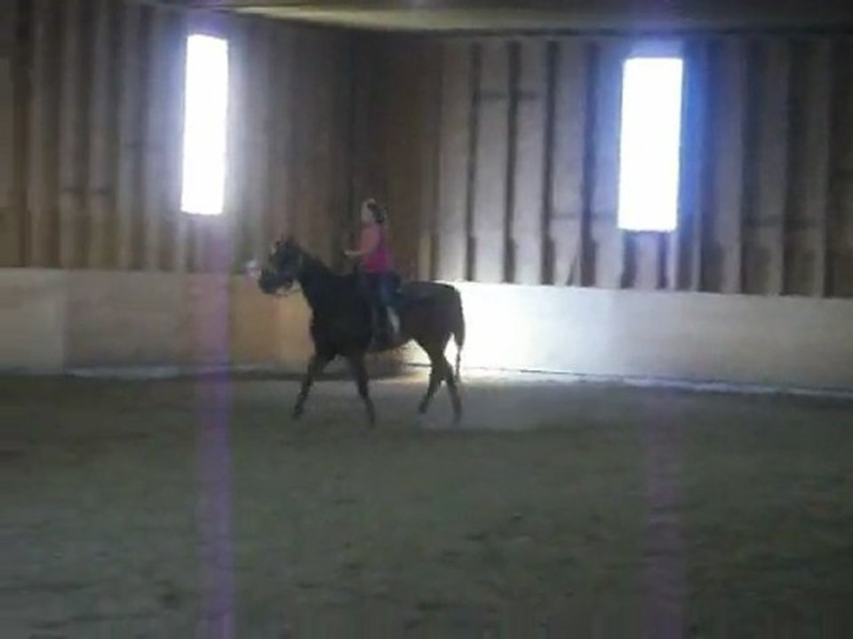 Moi et Le cheval 2